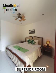 a bedroom with a bed and a ceiling fan at Moalboal Tropics in Moalboal