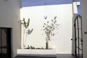 eine weiße Wand mit zwei Pflanzen drauf in der Unterkunft نيلوفر بيتي in Sūq al Aḩad