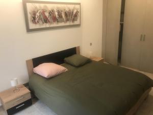 1 dormitorio con cama verde y almohada rosa en A Casa Assulanatta en Santa-Reparata-di-Balagna