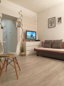 Μια τηλεόραση ή/και κέντρο ψυχαγωγίας στο Apartament pod Chełmcem +18 φωτογραφίες