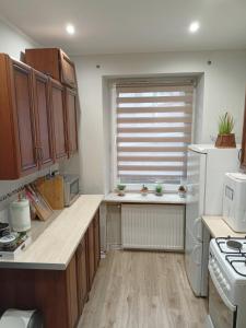 Η κουζίνα ή μικρή κουζίνα στο Apartament pod Chełmcem