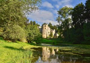 a castle on a hill next to a river at Hotel Auberge Rustique in Beaufort