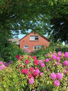 a field of flowers in front of a house at Ferienhaus Bonishof in Westerholt