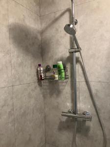 una ducha en un baño con cortina de ducha en Le Petit Lecoy, en Saumur