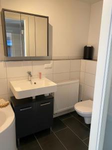 a bathroom with a sink and a toilet at Erholung am Deich in Glückstadt