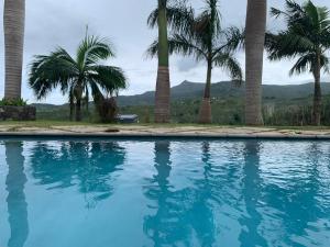 a pool with palm trees and mountains in the background at Villa Kamaya, Chamarel in Chamarel
