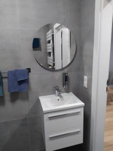 a bathroom with a sink and a mirror at Częstochowa Centrum in Częstochowa
