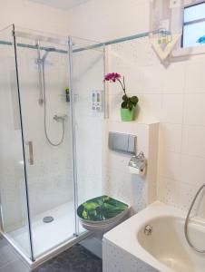 ein Bad mit einer Dusche, einem WC und einem Waschbecken in der Unterkunft Emyda' s Tropical Home at Goldsteig trail in Wiesau