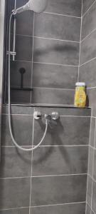 a shower with a shower head in a bathroom at F2, entièrement neuf, 65m² in Montceau-les-Mines