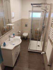 a bathroom with a shower and a sink and a toilet at Protea Inn Ferienwohnungen in Bad Nauheim