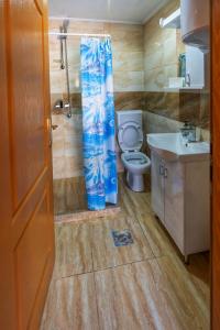 Koupelna v ubytování Guesthouse Madzarevic