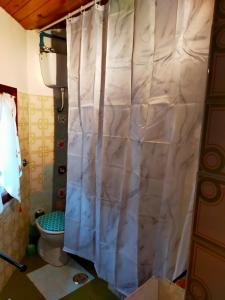 uma cortina de chuveiro na casa de banho com WC em Monolocali Tra Rieti e Terminillo tra le nevi em Terminillo