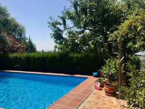 uma piscina num quintal com plantas em La Finca Mercedes em La Iruela