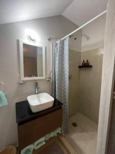 a bathroom with a sink and a shower at Workation Montpellier in Santa María Coronanco