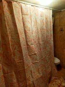 La salle de bains est pourvue d'un rideau de douche et de toilettes. dans l'établissement casa indipendente con camino tra leonessa e amatrice, à Favischio