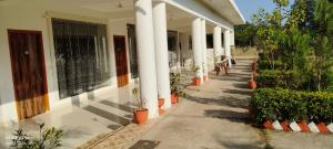 ein Gebäude mit Säulen und Topfpflanzen auf dem Bürgersteig in der Unterkunft Hotel Radha Rani Mahal in Khajurāho