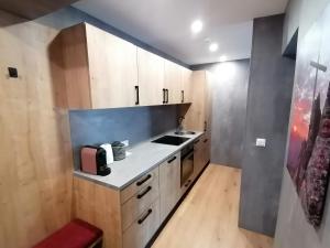 Kuchyň nebo kuchyňský kout v ubytování Gästehaus Holaus