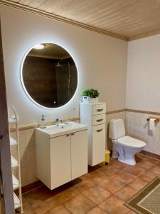 een badkamer met een wastafel, een toilet en een spiegel bij Sandve in Sandve