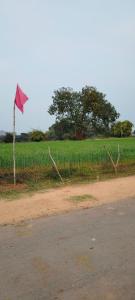 a red flag on a pole in front of a field at Laxmi home stay in Ghūra