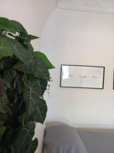 een groene plant naast een foto aan een muur bij Marinella House in Napels