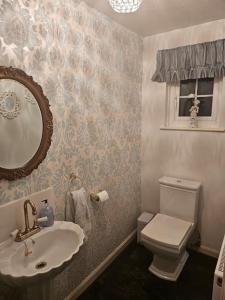 a bathroom with a sink and a toilet and a mirror at Beach Cottage, with stunning views in Cosheston