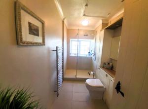 a bathroom with a shower and a toilet and a sink at Beach Cottage, with stunning views in Cosheston +51 photos