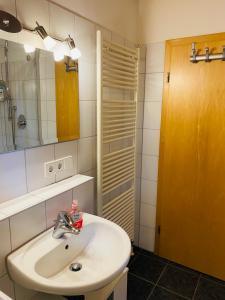 a bathroom with a sink and a mirror and a shower at Gartenapartment auf der Höri in Wangen in Öhningen