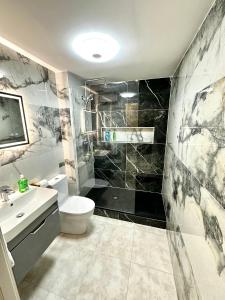 y baño con aseo y lavamanos. en Modern 2Bedroom Oasis near Dublin city centre & Airport, en Dublín
