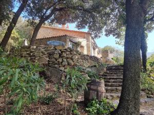 una casa in pietra con un albero e alcune scale di la bergerie a Sorède