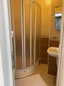 uma casa de banho com um chuveiro e um lavatório. em Hermes Otel em Edirne