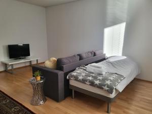 sala de estar con sofá y TV en Home Apartment Haukipudas, en Oulu