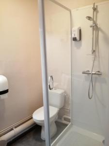 a bathroom with a toilet and a shower at A La Halte Des Gorges in Nevy-sur-Seille