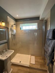 een badkamer met een douche en een wastafel bij The Hen House in Chichester