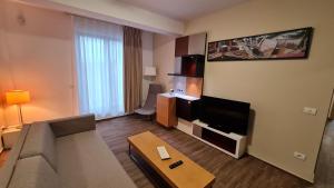 蒂米什瓦拉Jafar Resort 7的配有沙发和平板电视的客厅