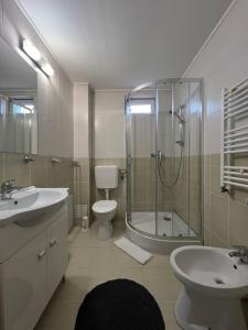 a bathroom with a shower and a toilet and a sink at Vila Carlos in Baile Felix