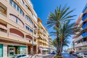トレビエハにあるSeaview Torreviejaの椰子の木が2本並ぶ通り