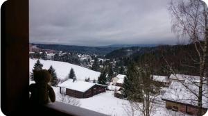 a teddy bear sitting on a ledge looking out at a snow covered village at Haus Bergwiese in Altenau