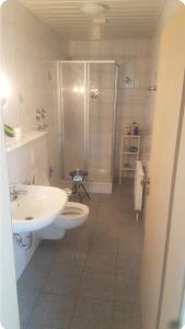 a bathroom with a shower and a toilet and a sink at Haus Bergwiese in Altenau
