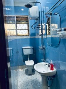 a blue bathroom with a toilet and a sink at Casa Mia BnB in Kampala