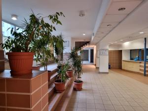 Lobby alebo recepcia v ubytovaní Apartament B & S - Free Garage Parking