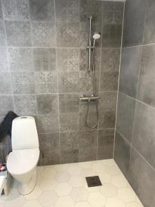 a bathroom with a toilet and a shower at Cozy one bedroom apartment in Tartu