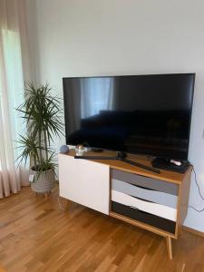 uma televisão de ecrã plano numa bancada numa sala de estar em Cozy one bedroom apartment em Tartu