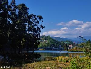 uma vista para um lago com árvores e uma ponte em Himali Homestay , Mirik em Mirik