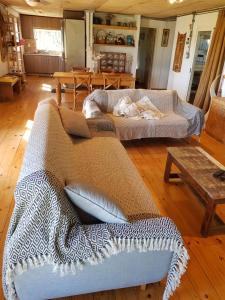 uma sala de estar com um sofá e uma mesa em Piedra De Agua Chacra, casa, piscina, bosque, río. em Minas