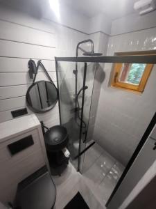 a small bathroom with a shower and a sink at domek w zaczarowanym lesie in Istebna