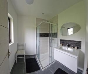 a bathroom with a shower and a sink and a mirror at Gite La Baraque in Najac +25 photos