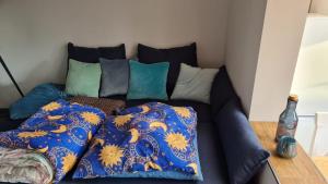 ein Sofa mit Kissen darauf im Zimmer in der Unterkunft Belle ILE in Lychen