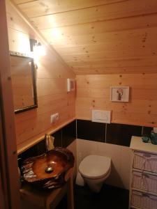 a small bathroom with a toilet and a sink at Chalet Bergheimat in Wagrain
