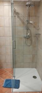 a shower with a glass door in a bathroom at Ferienhaus Erika in Mallnitz +15 photos