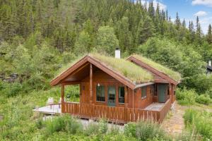 a log cabin with a grass roof on a hill at Ål Skisenter - Cabin with panoramic view for 8 guests in Holo